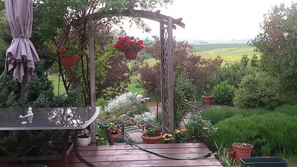 Apasjonata Appartement Świdnica Buitenkant foto