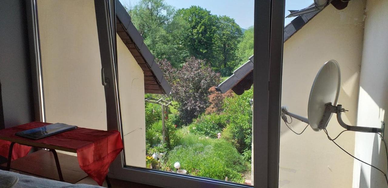 Apasjonata Appartement Świdnica Buitenkant foto